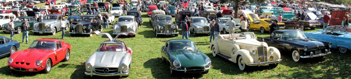 Car show with vintage Ferraris, Mercedes, Aston Martins, BMWs, and more